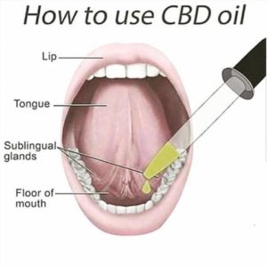 how-to-use-cbd-oil-sublingual