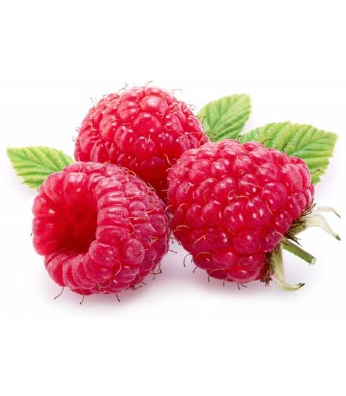 raspberry-ketones